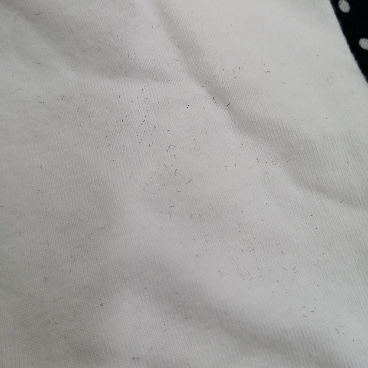 細かい繊維入り込みあり