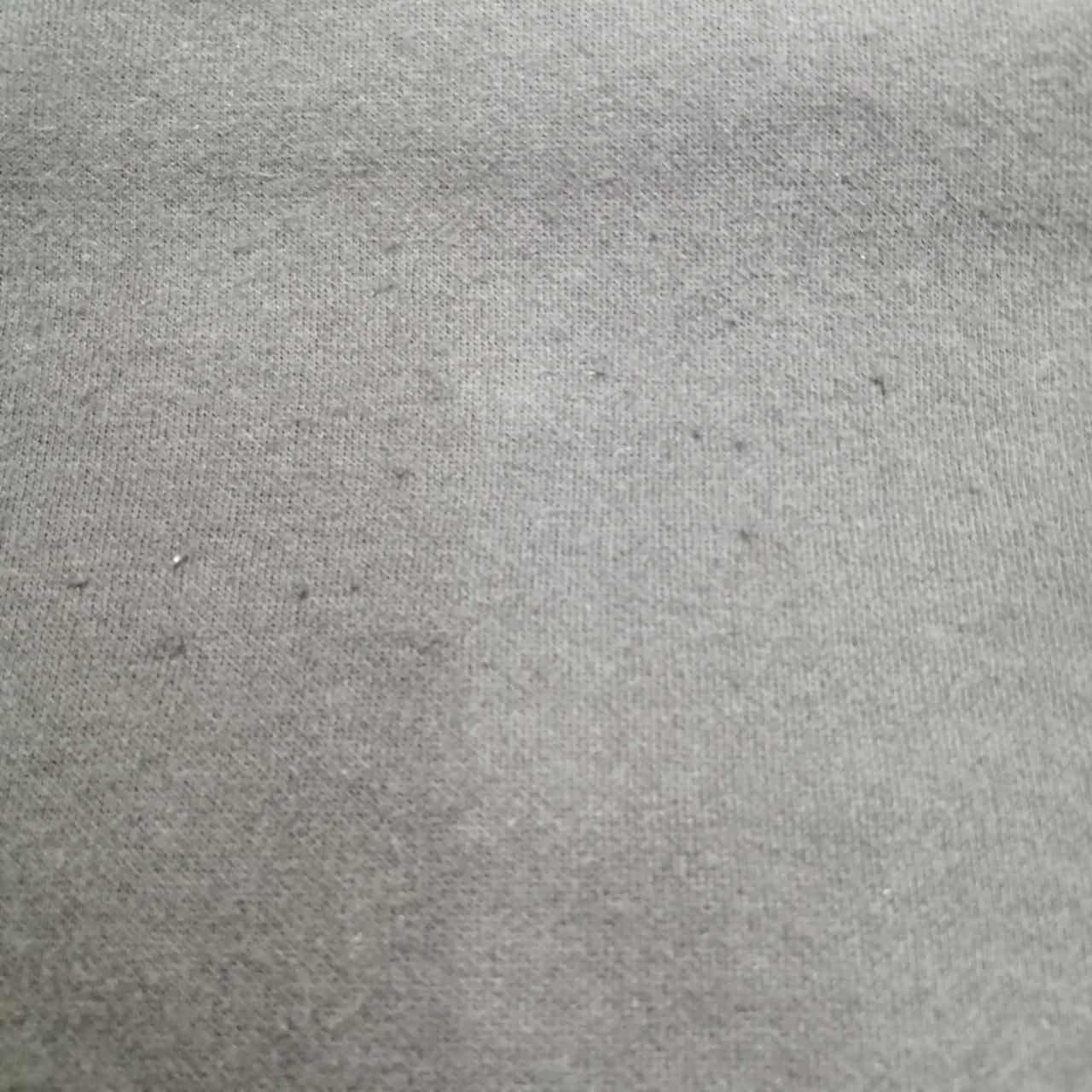 若干の毛玉あり