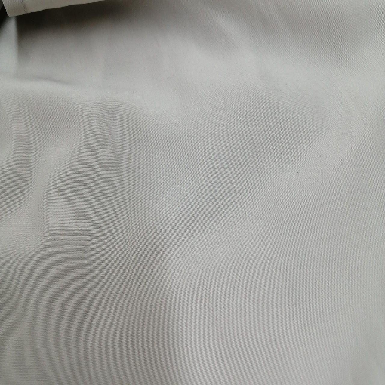 若干の毛玉あり