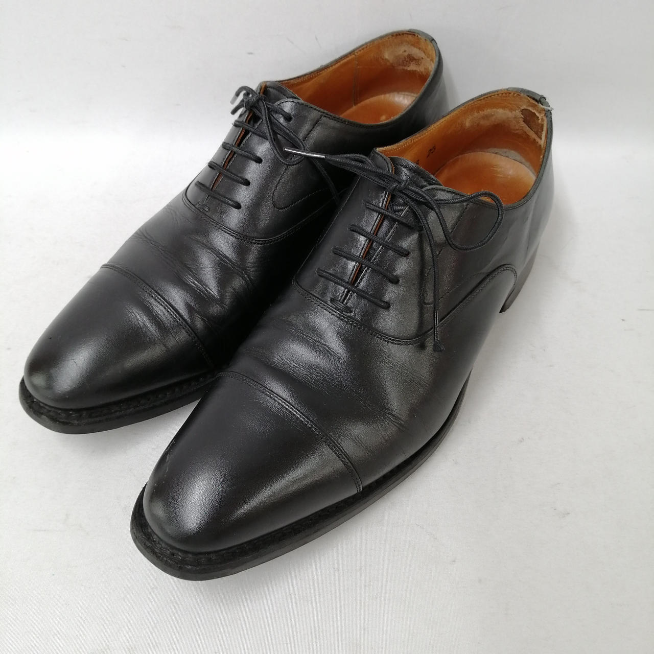 スコッチグレイン (SCOTCH GRAIN) オデッサ916MBR(E) 916DBR（E