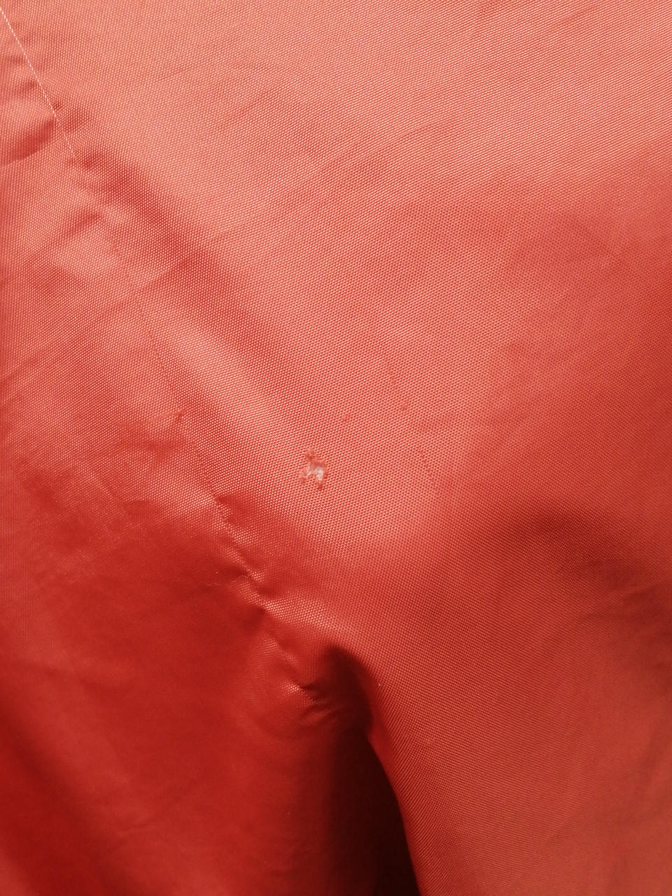 背面破れ小あり