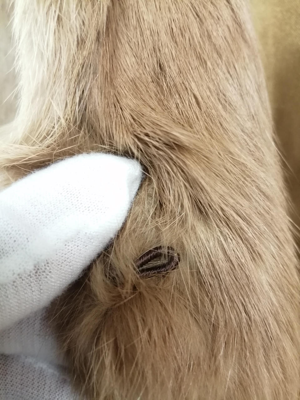 フックで前を閉じれます