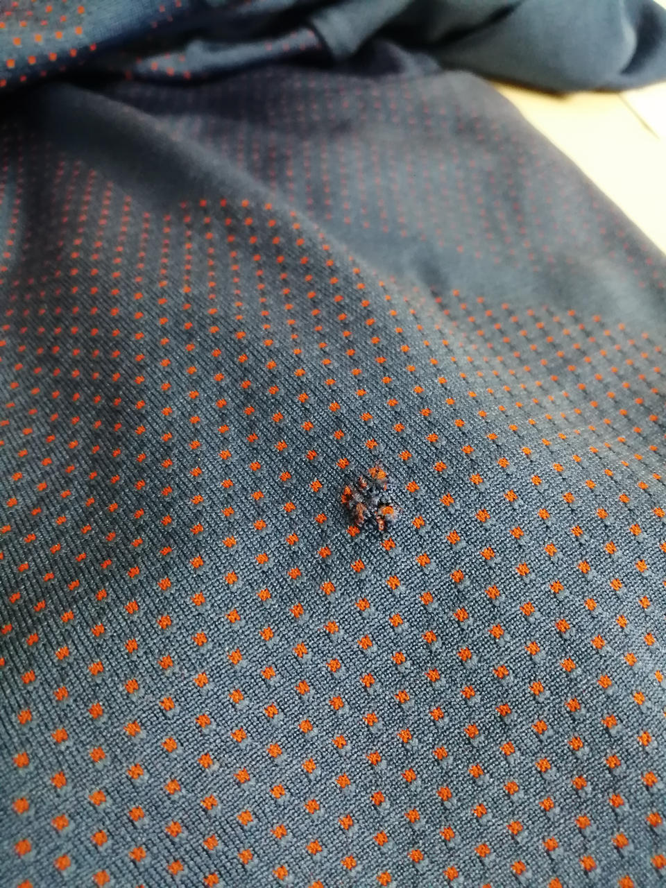 穴あり