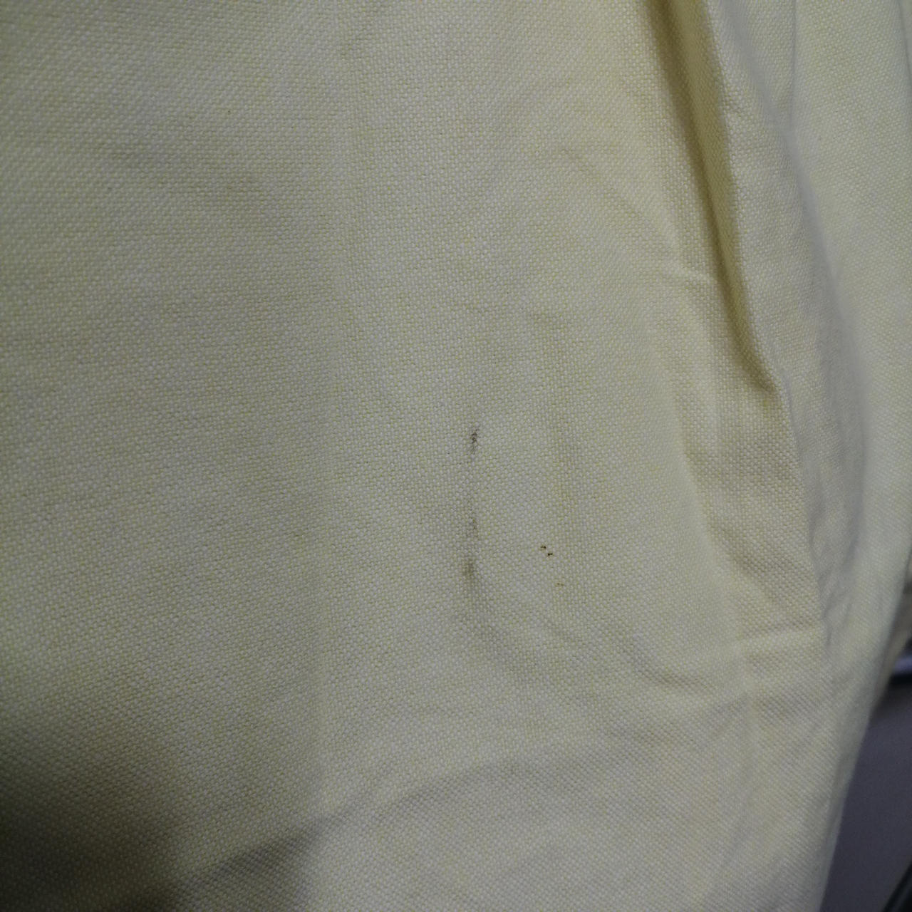 背面汚れあり