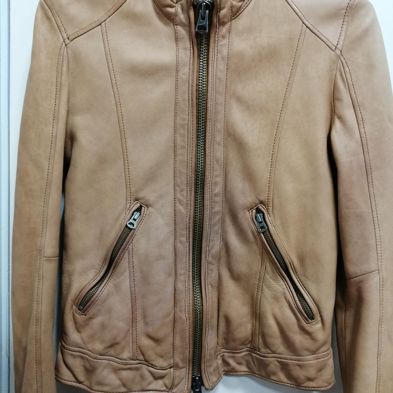 腹部に若干の色褪せあり