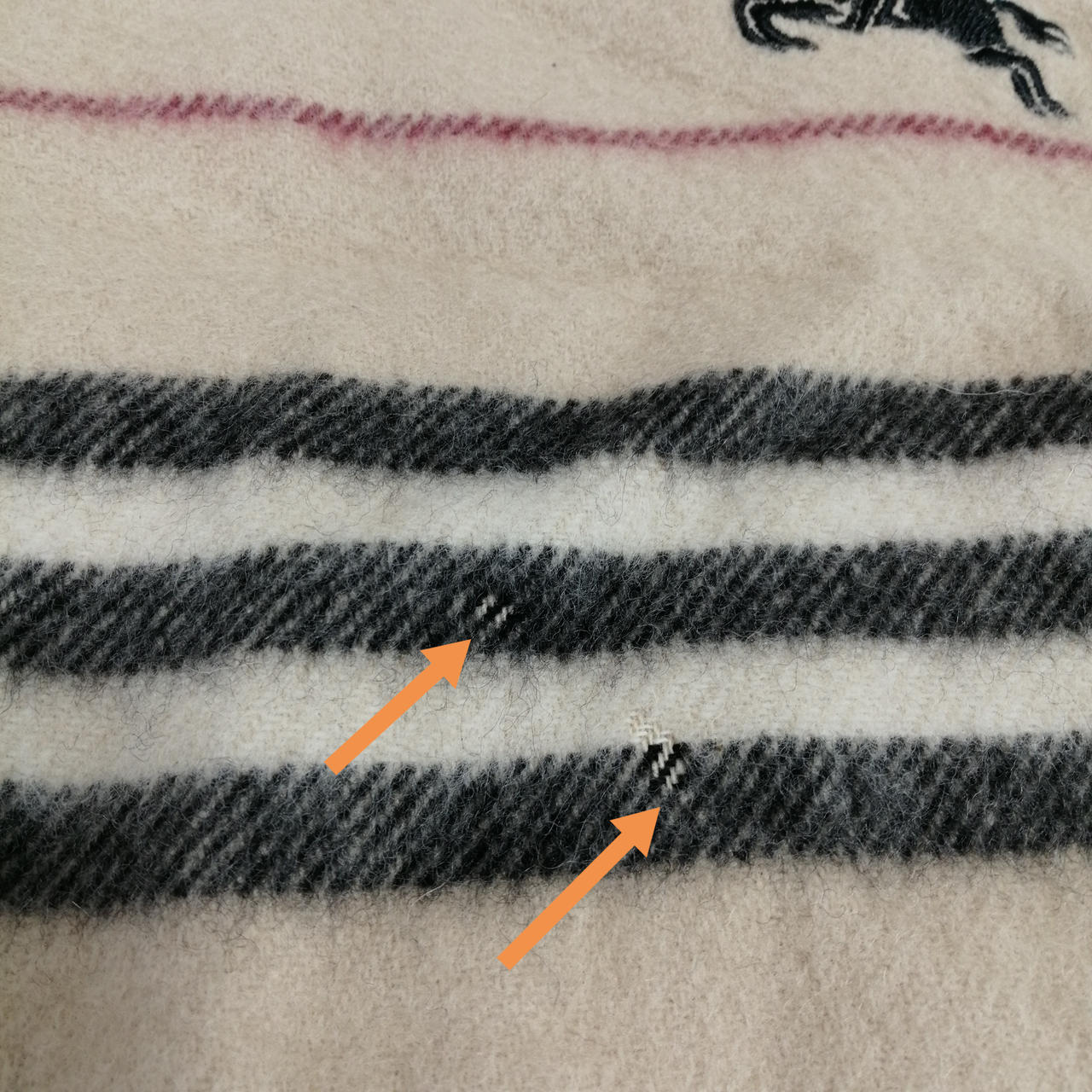 毛が薄くなっている箇所