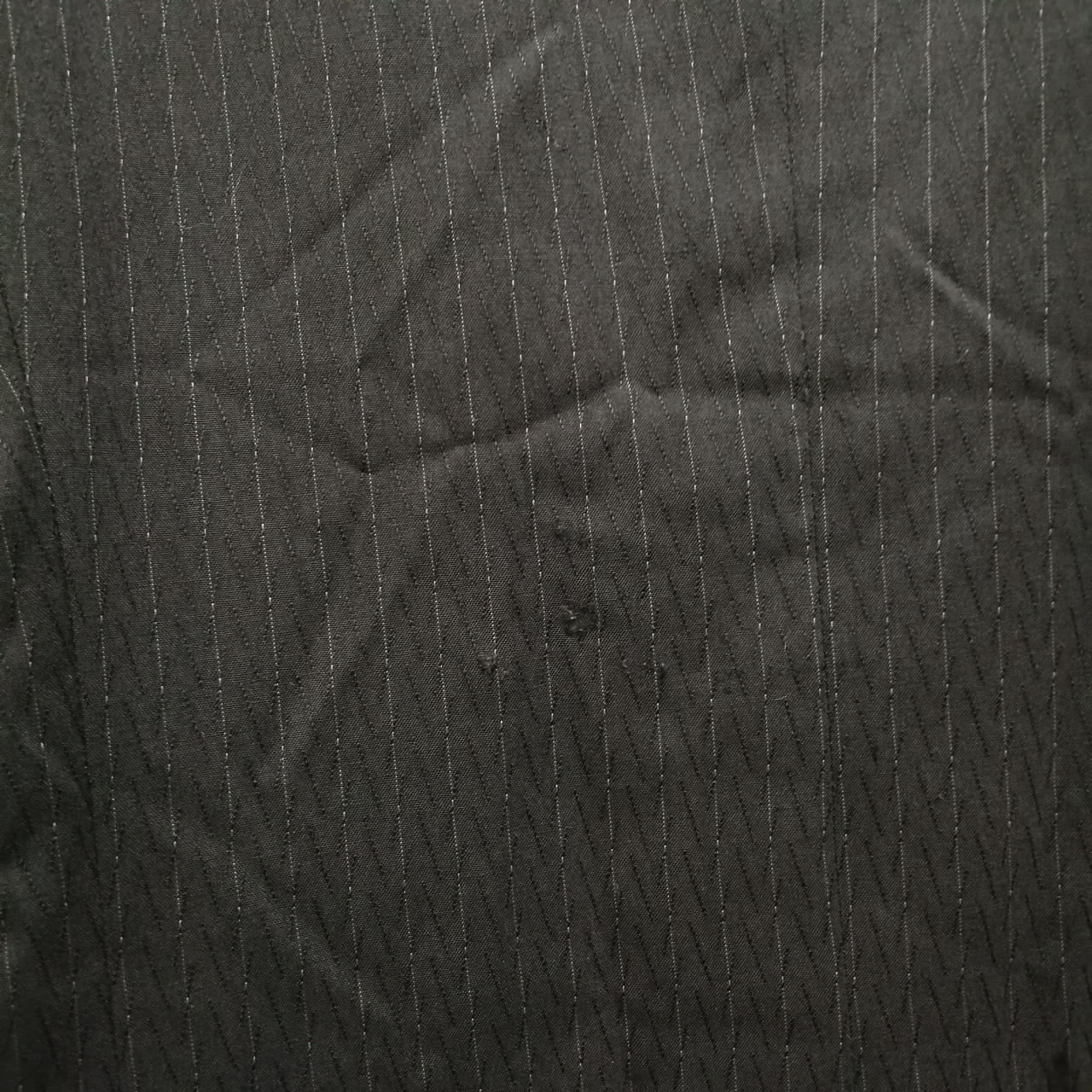 背中