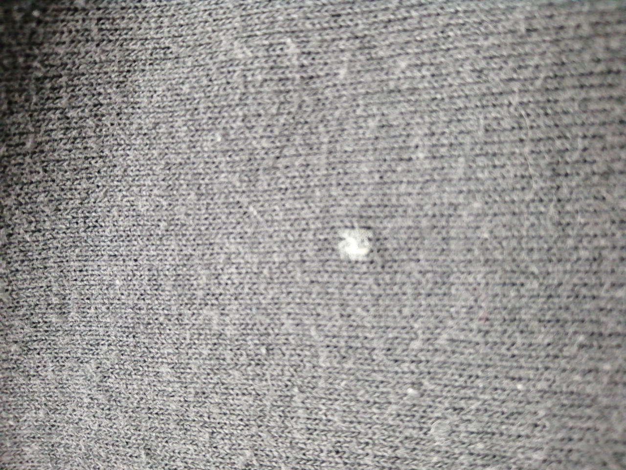 ところどころお汚れあり