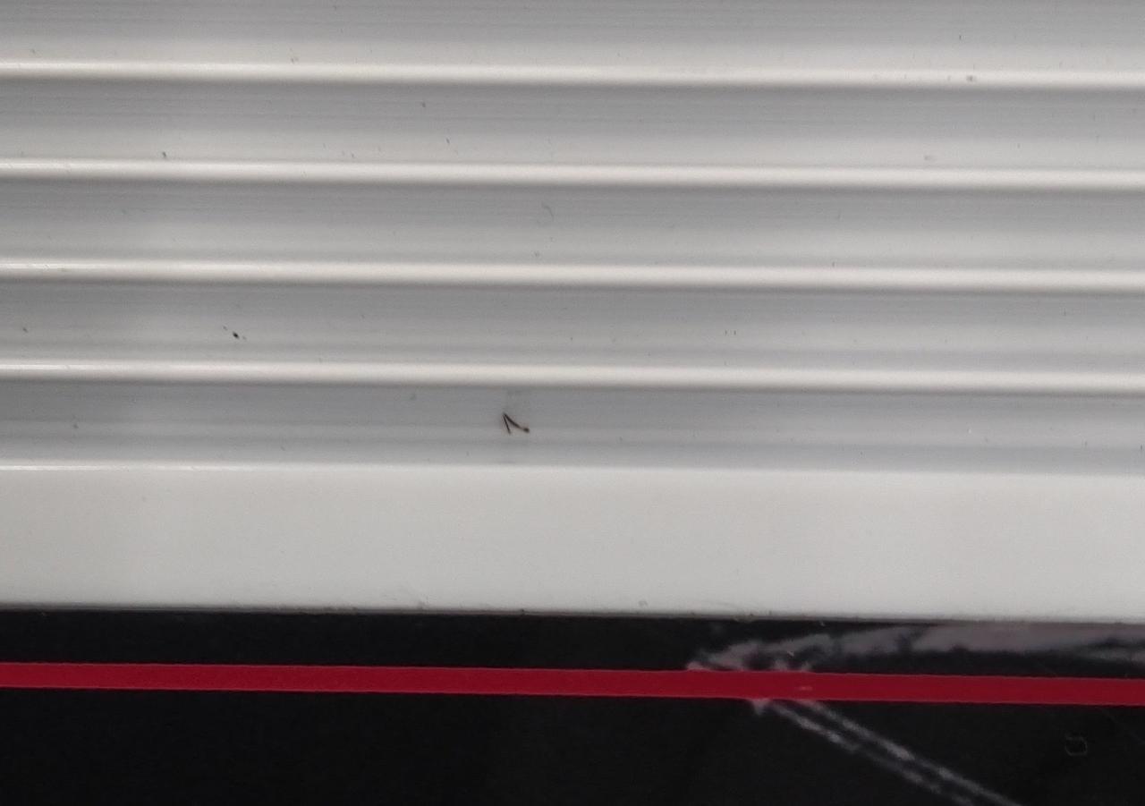 汚れ、キズあり