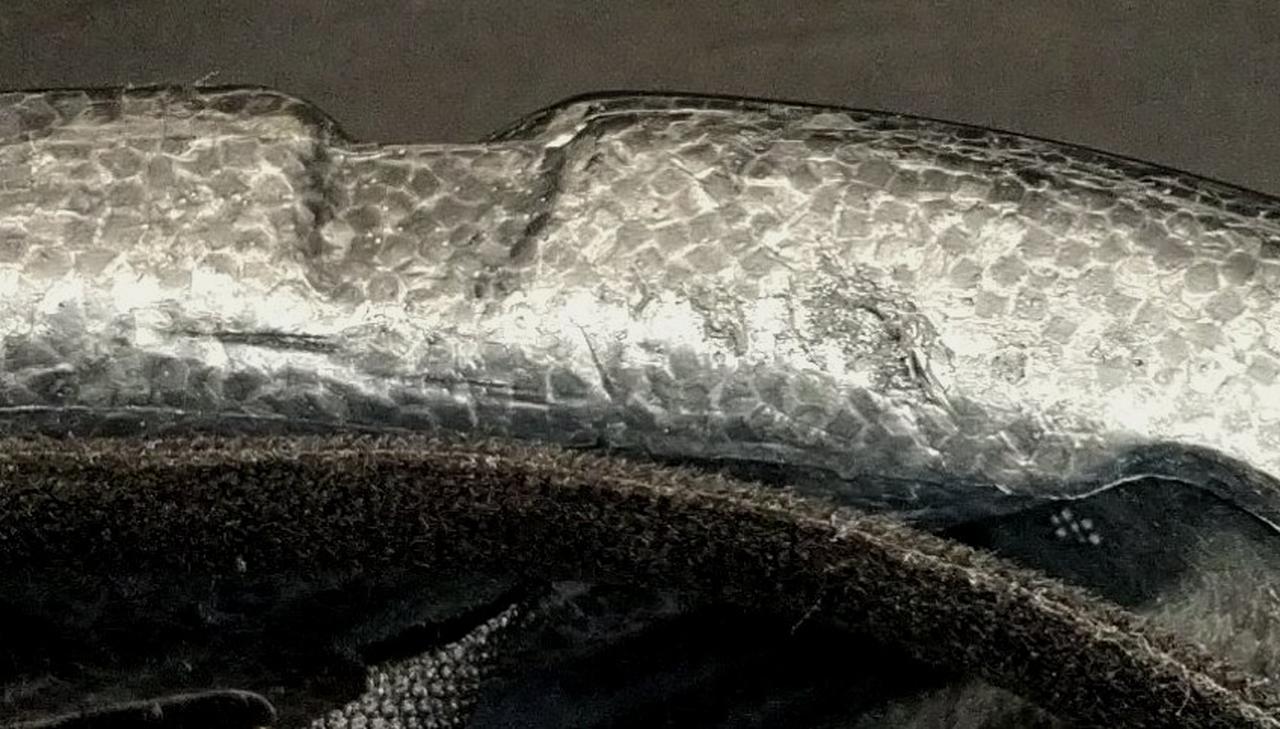 キズがあります