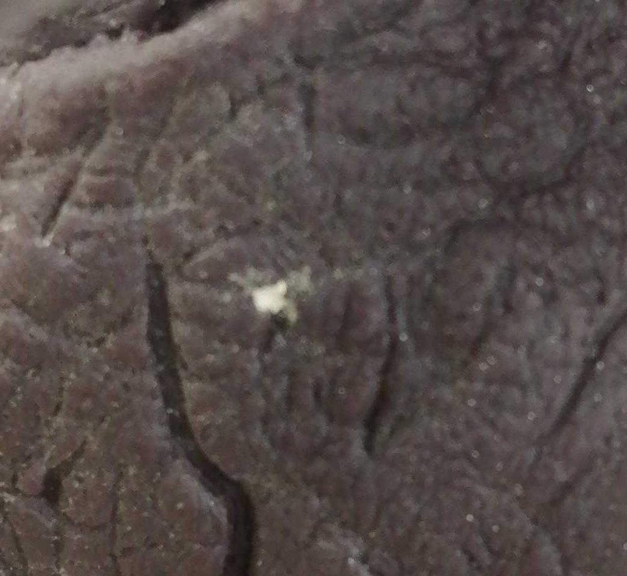 右足太ももあたり