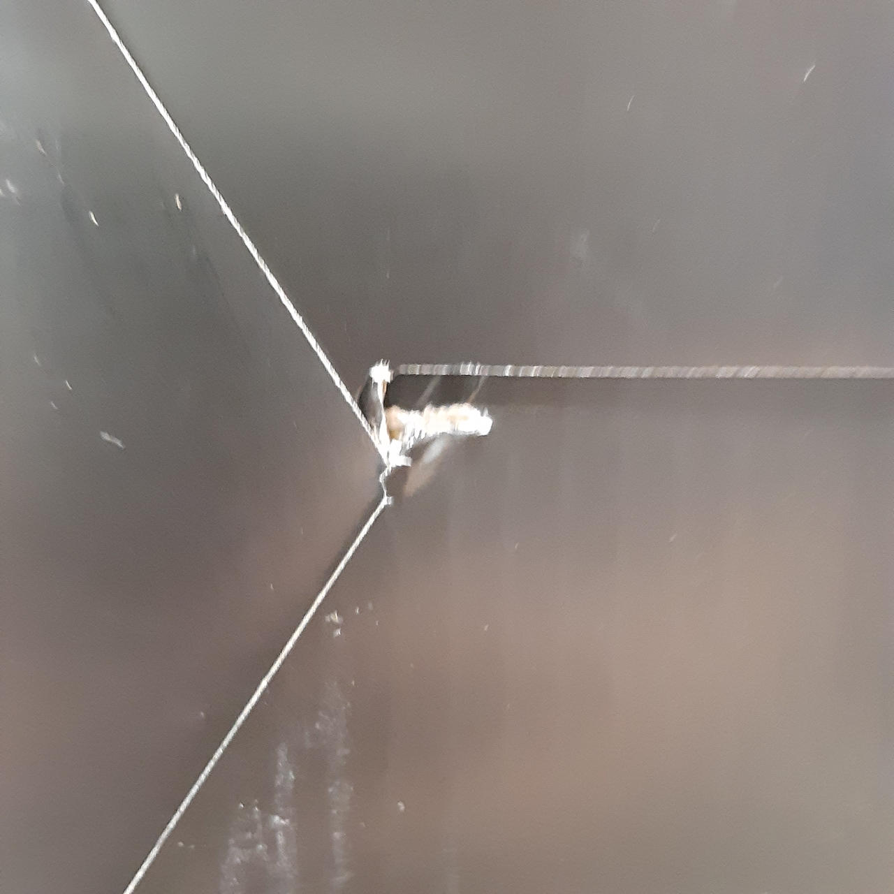 若干破れあります。