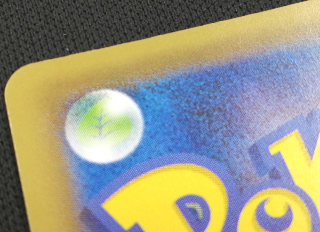 裏面若干白欠け有