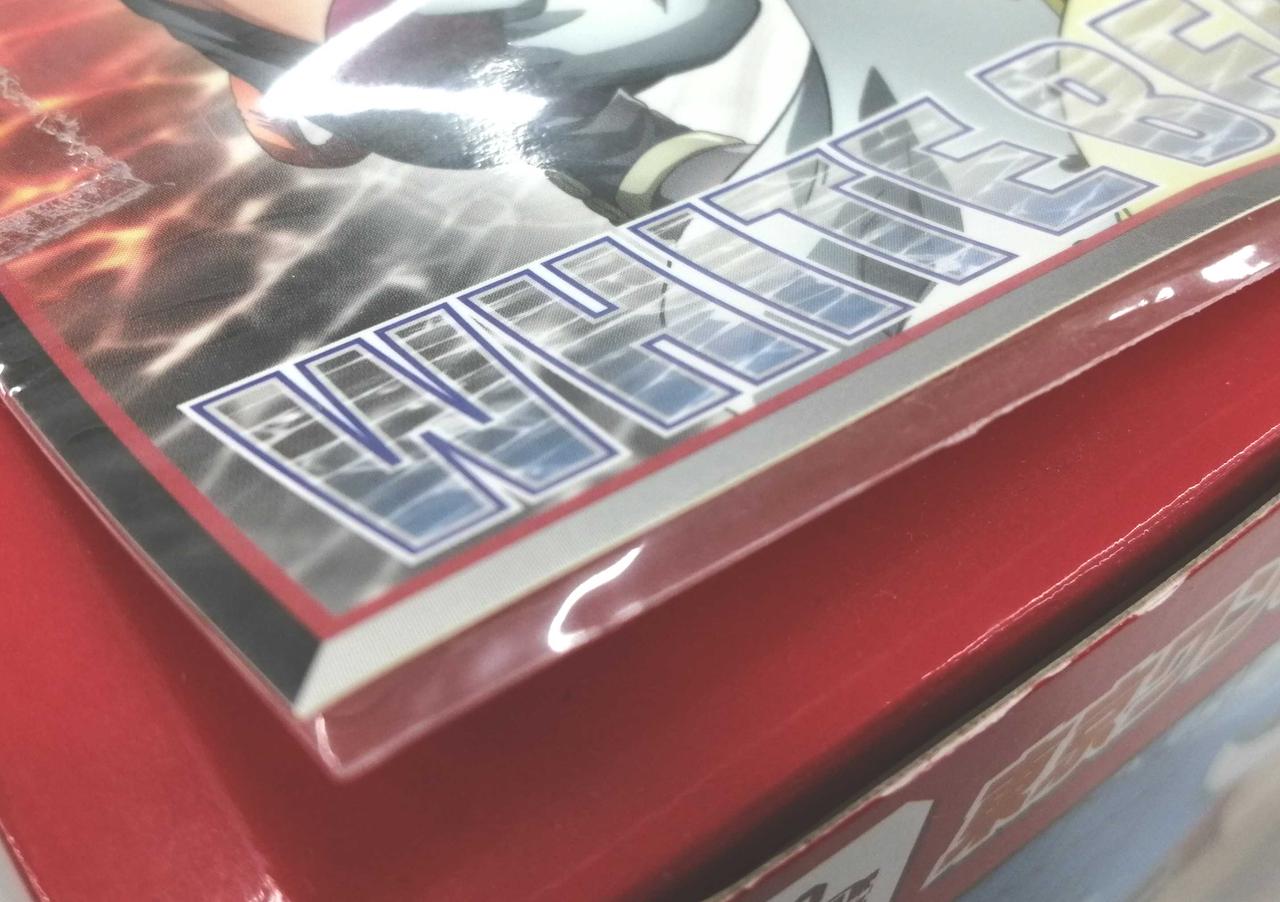 付属のステッカー若干イタミ有