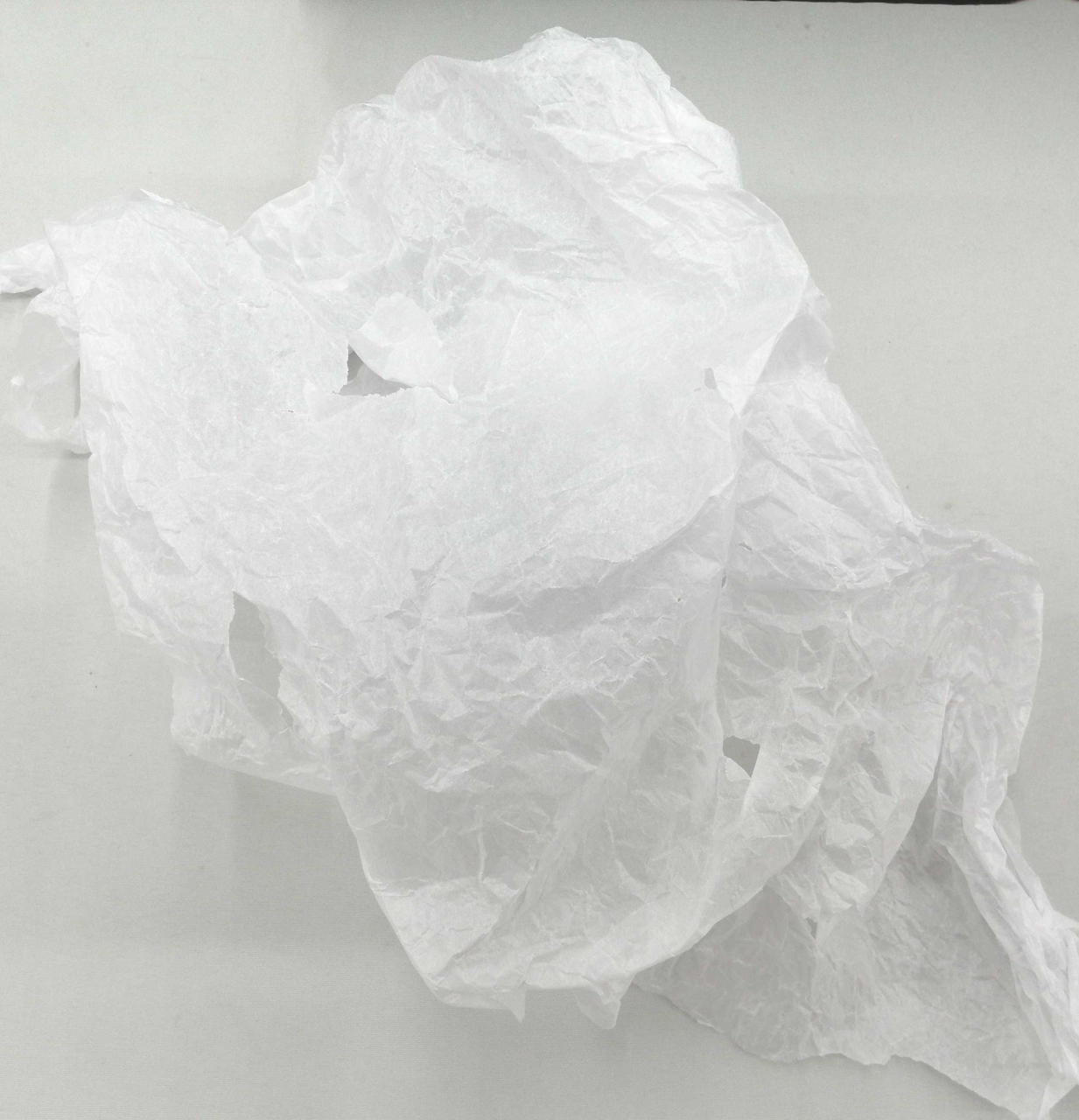 フィギュア保護紙破れ有