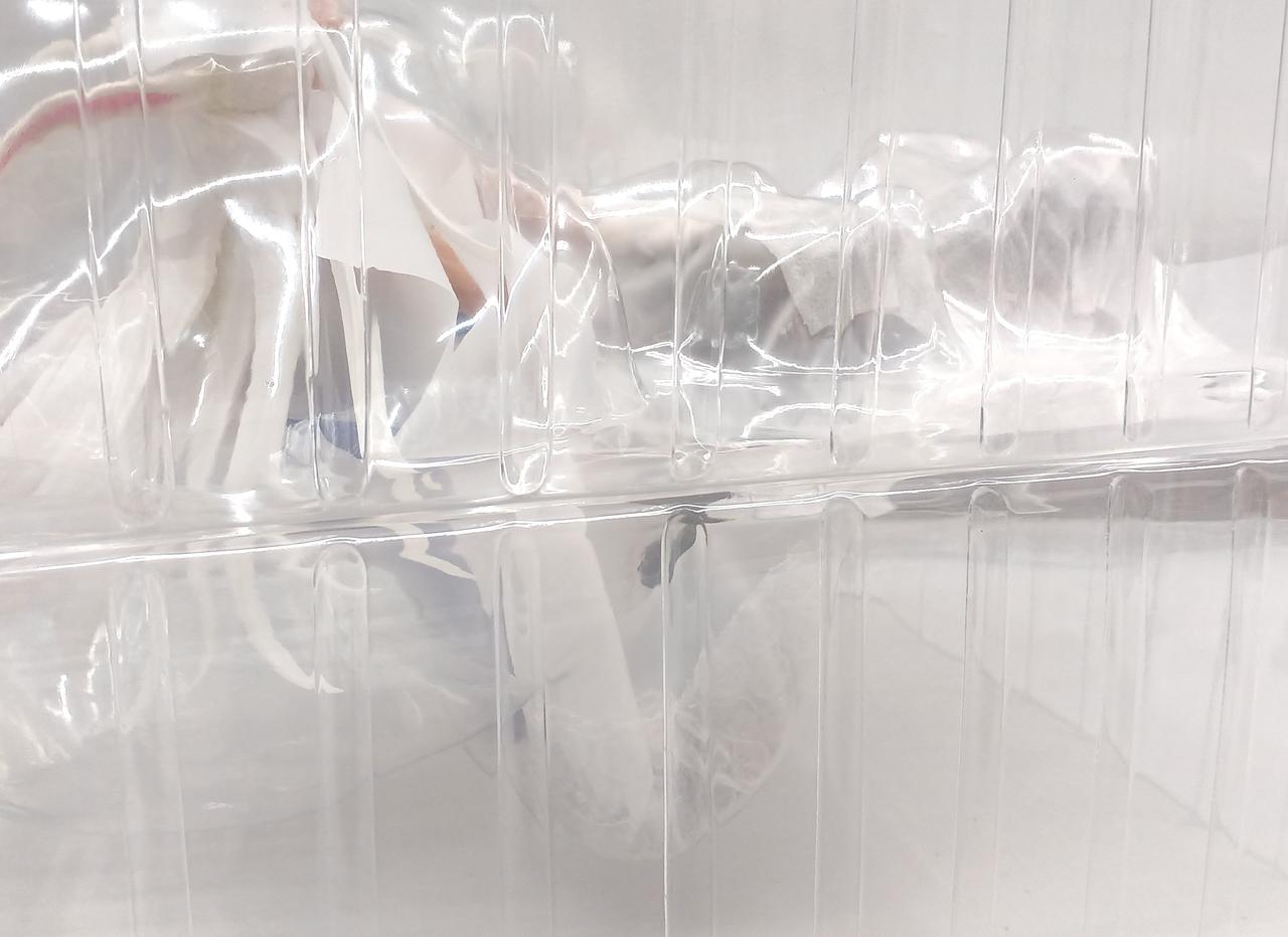 ブリスター未開封