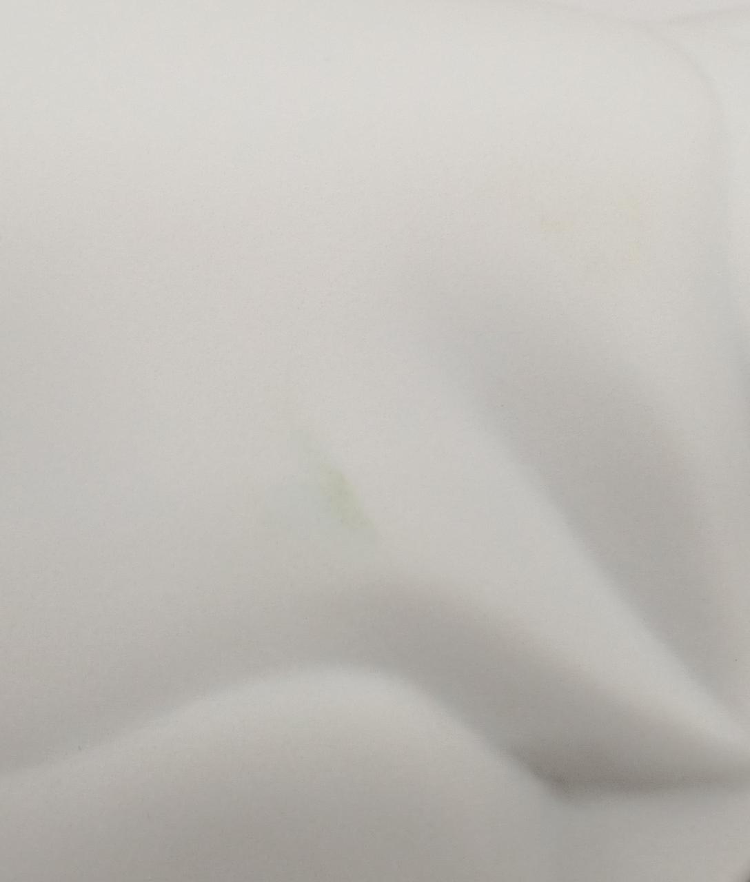 背中若干色移り有