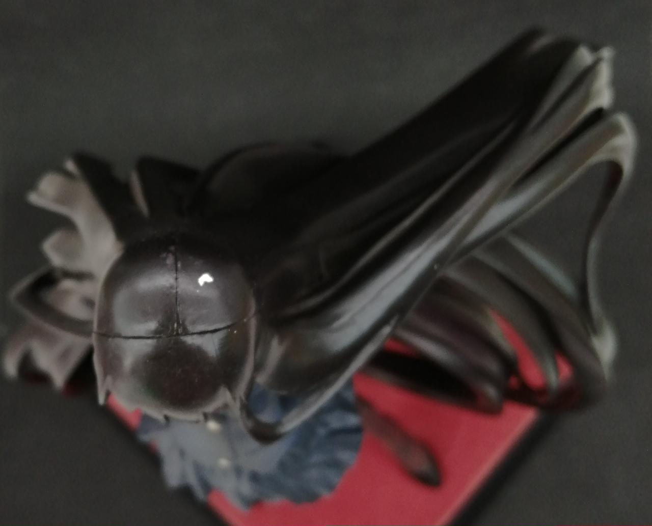 頭頂部に塗装剥げがあります