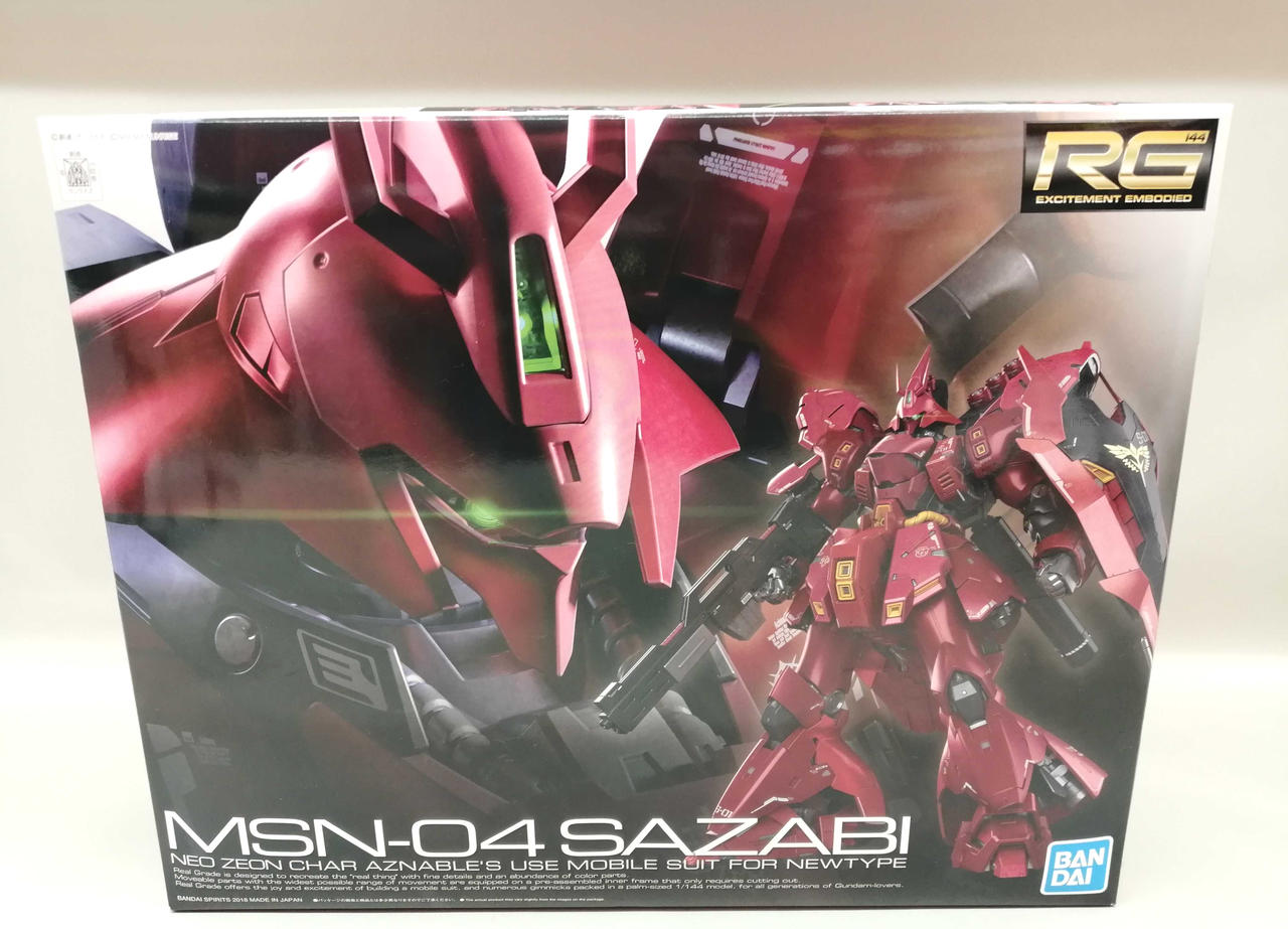 RG1/144