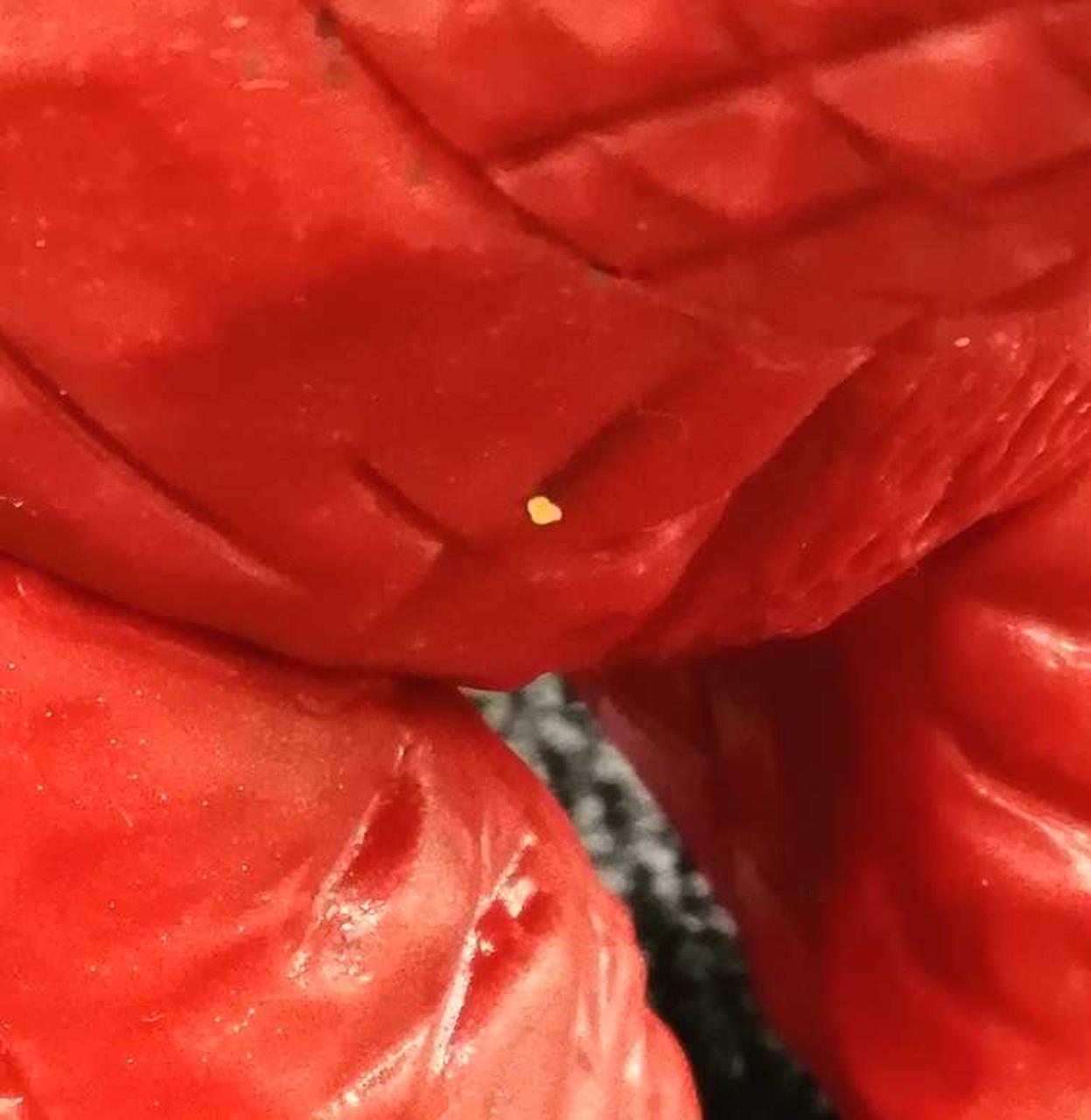 キズ・汚れ有り