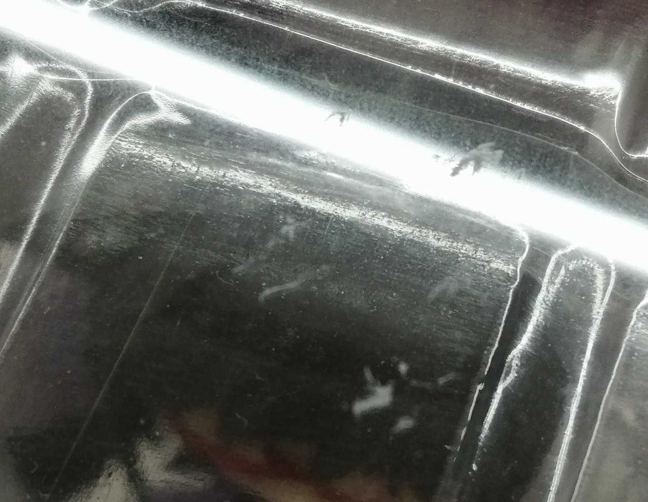 箱キズ有