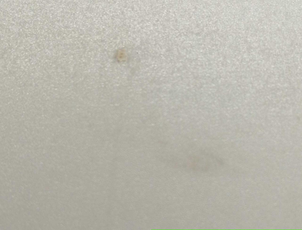 汚れ有