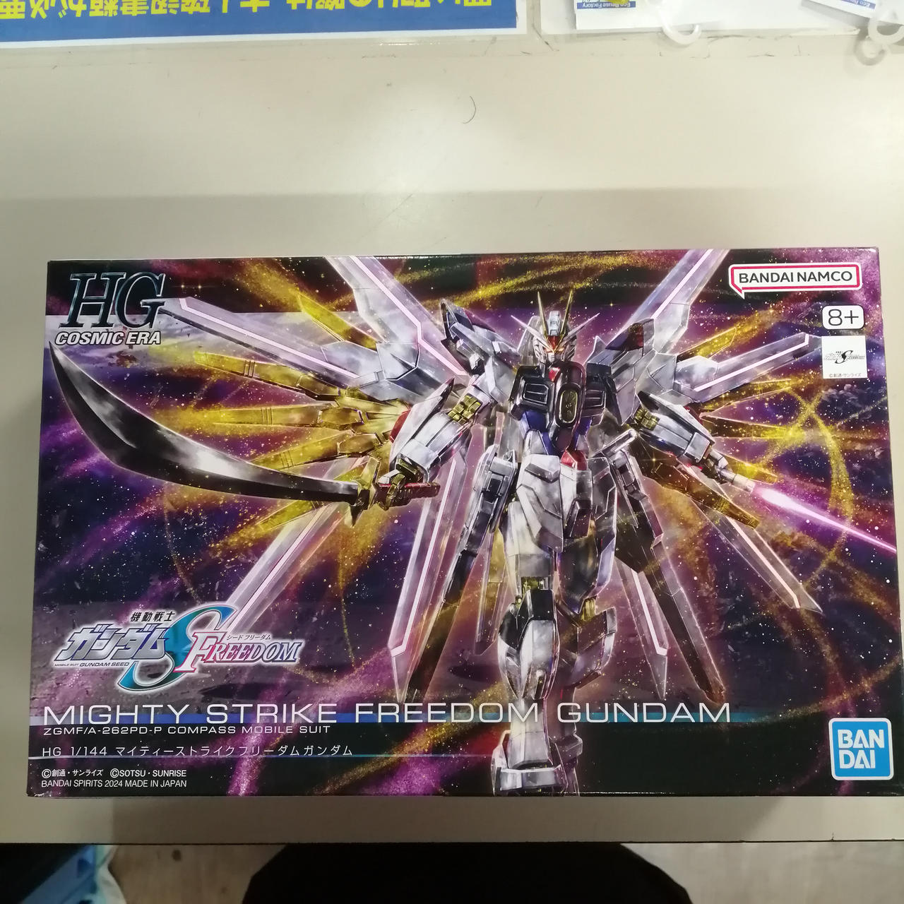 HG 1/144