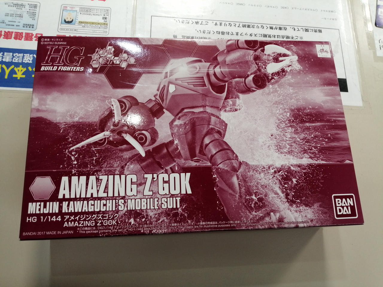 HG 1/144