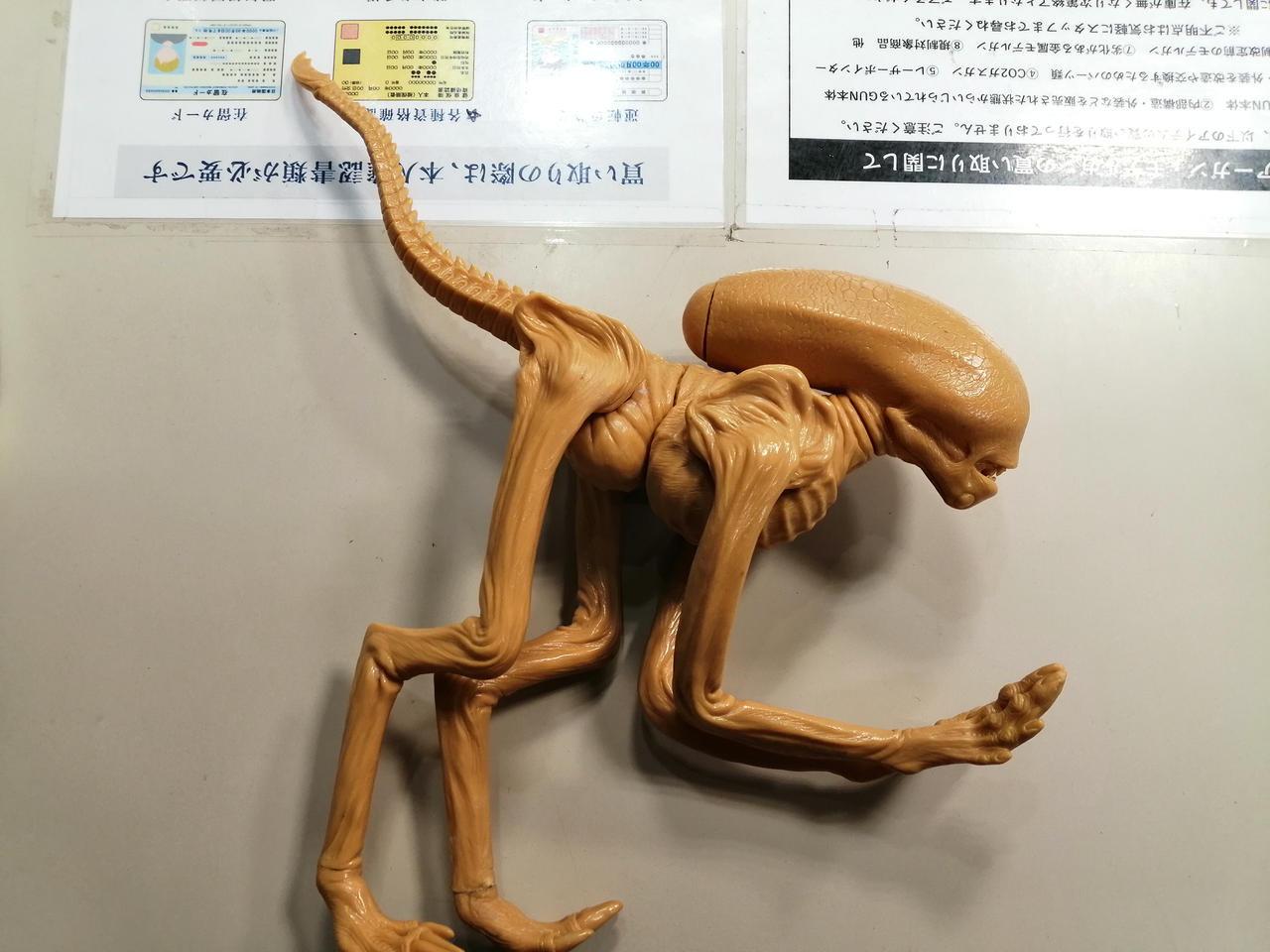 選択不可|エイリアン|HARDOFFオフモール（オフモ）|1080280000014395