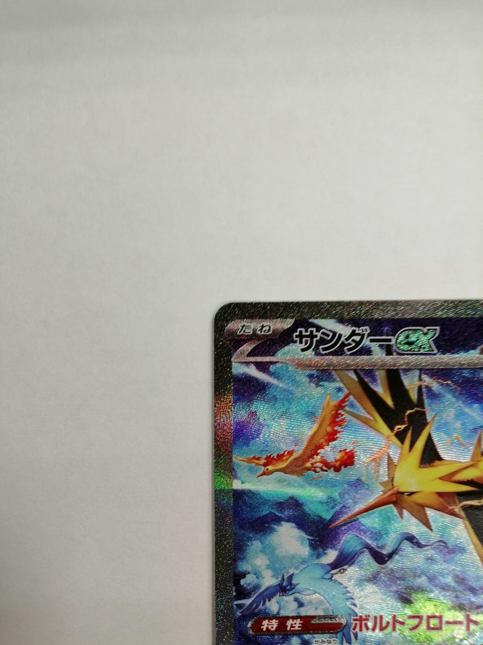 サンダーex PROMO ポケモンカード 2/9までセール開催中！！ 株式会社ポケモン|サンダーEX|【ハードオフ公式通販】オフモール