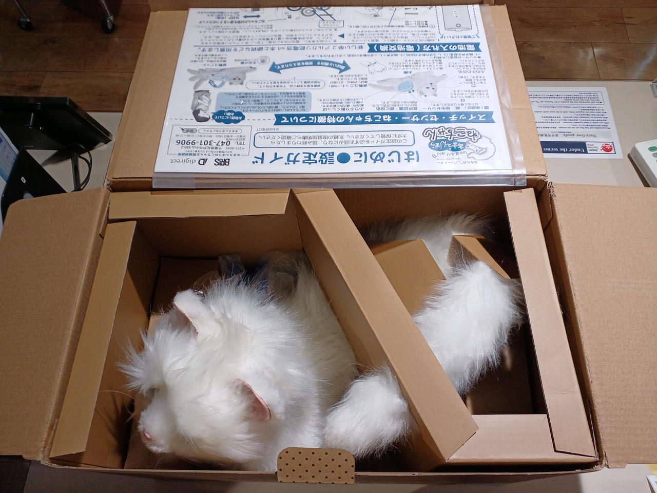 デジレクト|あなたのパートナー|HARDOFFオフモール（オフモ