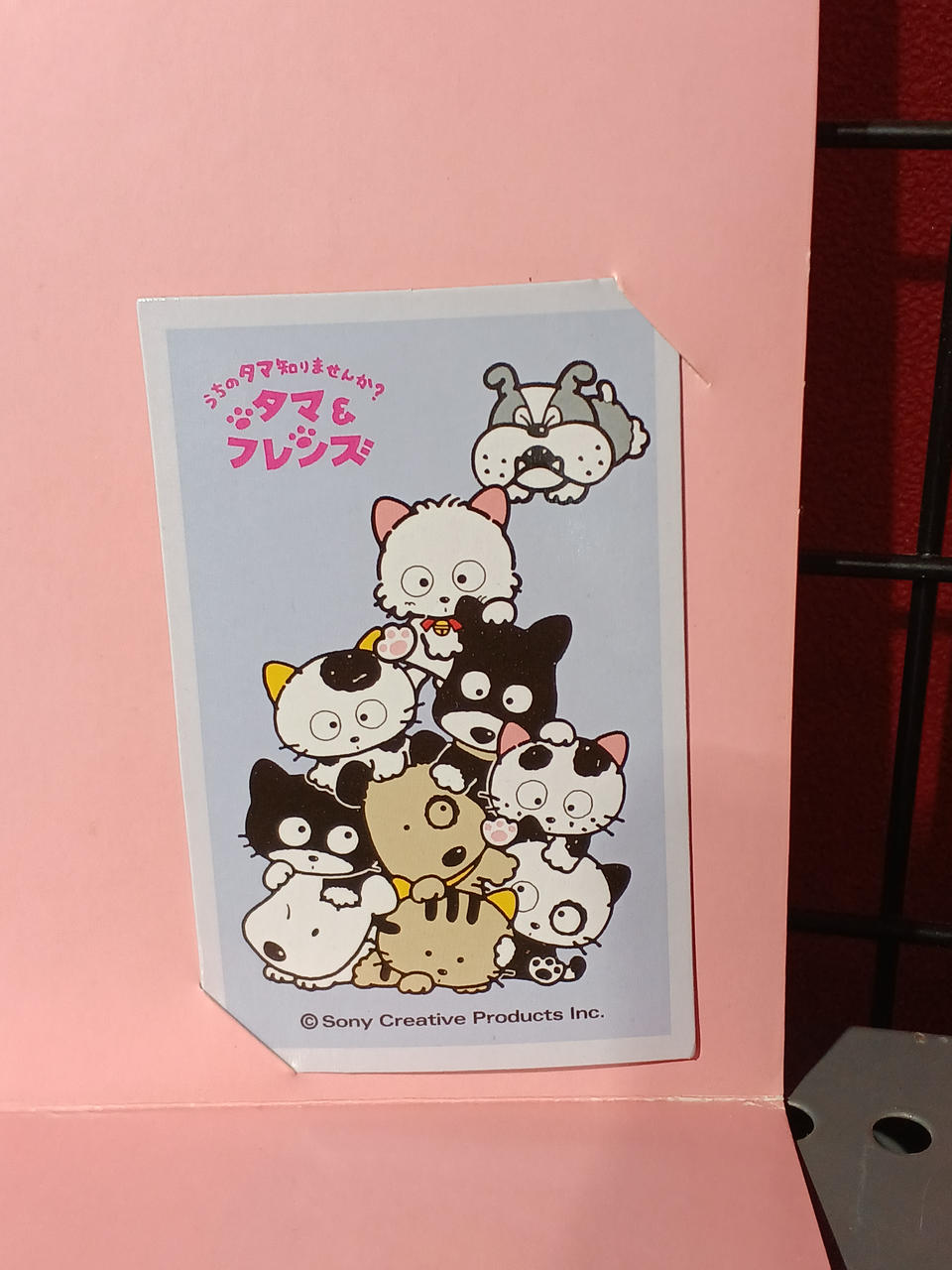 うちのタマ知りませんか 未開封 グッズ セット 5点 株式会社シャイン|3丁目のタマ うちのタマ知りませんか?|【ハードオフ
