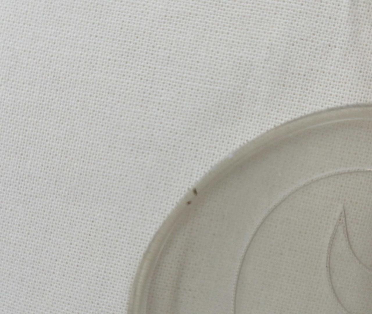 台座初期汚れあり