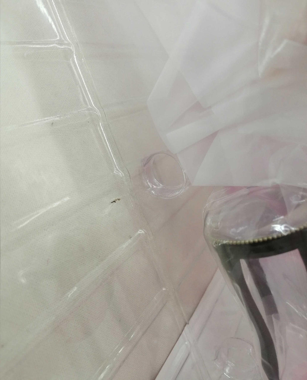 ブリスターにヨゴレあり