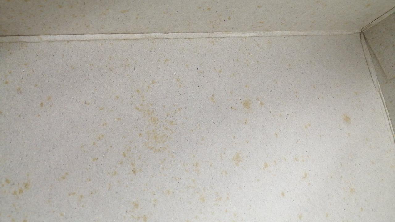 箱内側シミあり