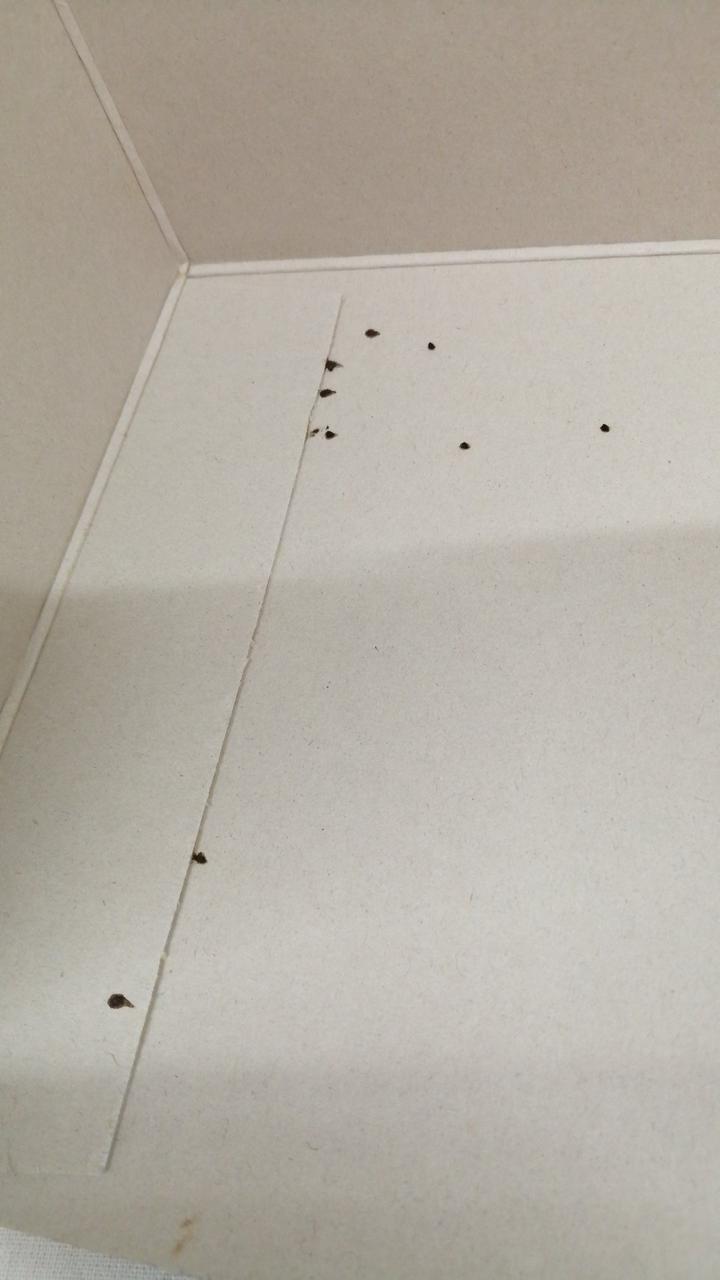 箱内側後ヨゴレあり