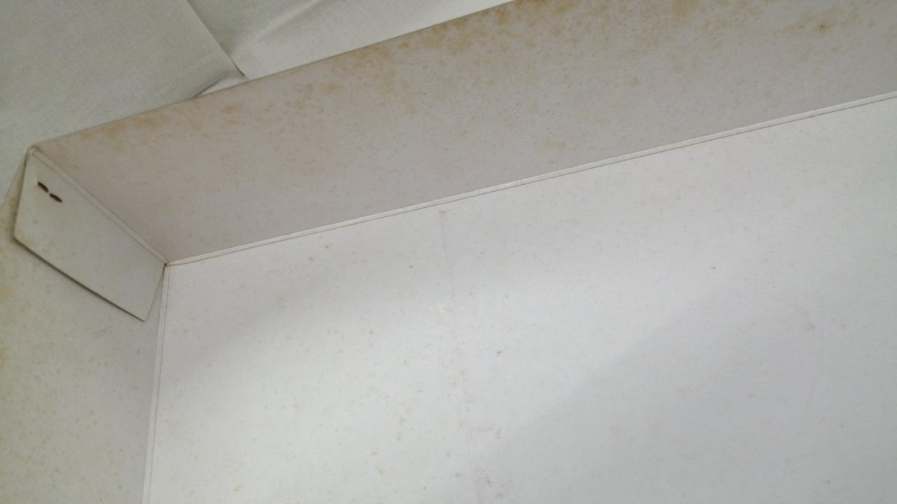 箱シミ有り