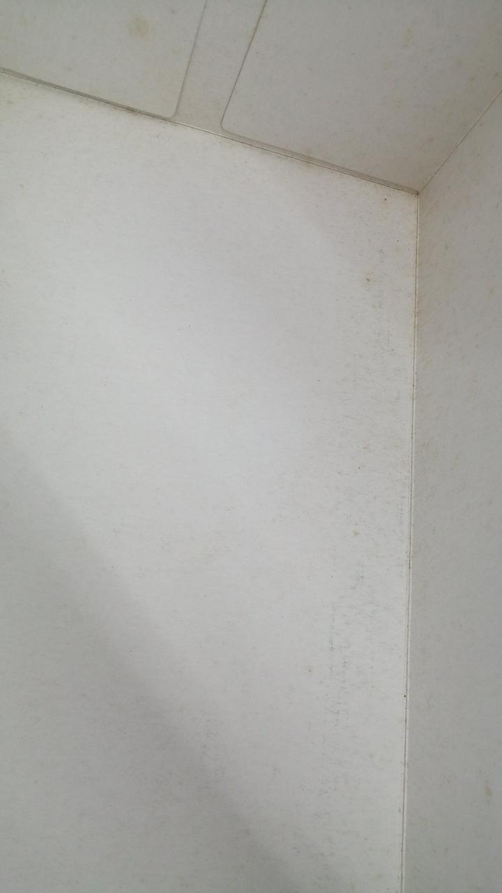 箱内側シミあり