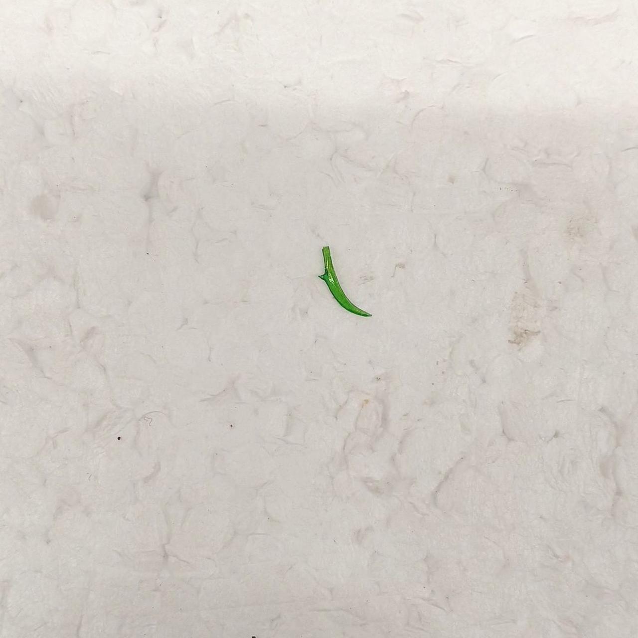 眼光エフェクト破損あり
