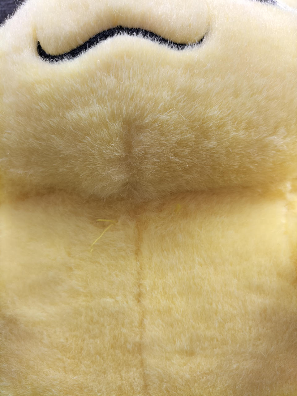 首元に糸のほつれがあります。