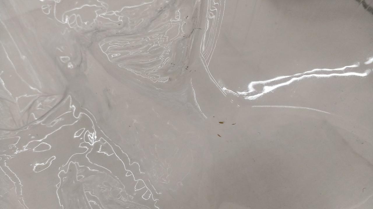 ブリスターに色が付いています。