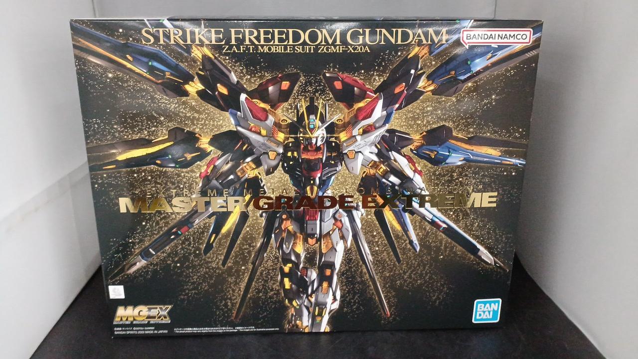 機動戦士ガンダムSEEDDESTINY