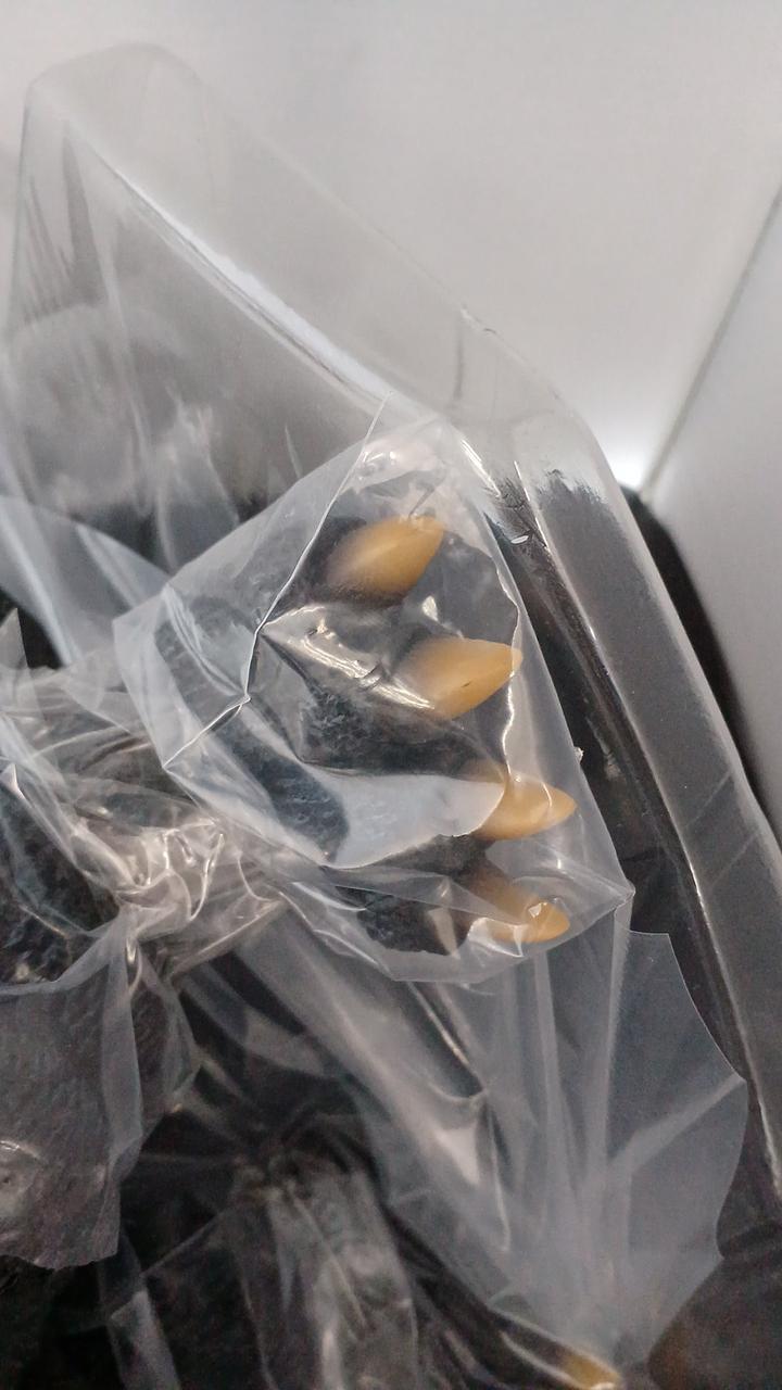 爪先塗装はがれあります。