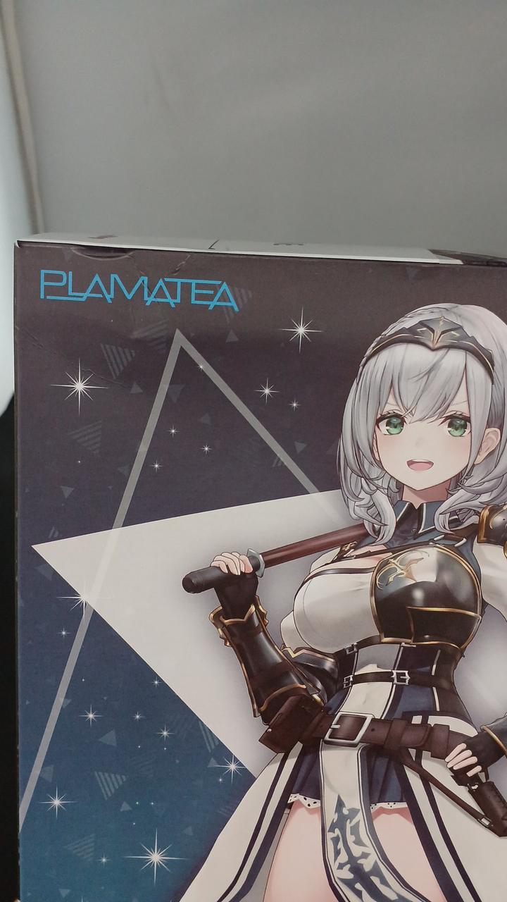 キズやダメージがあります。