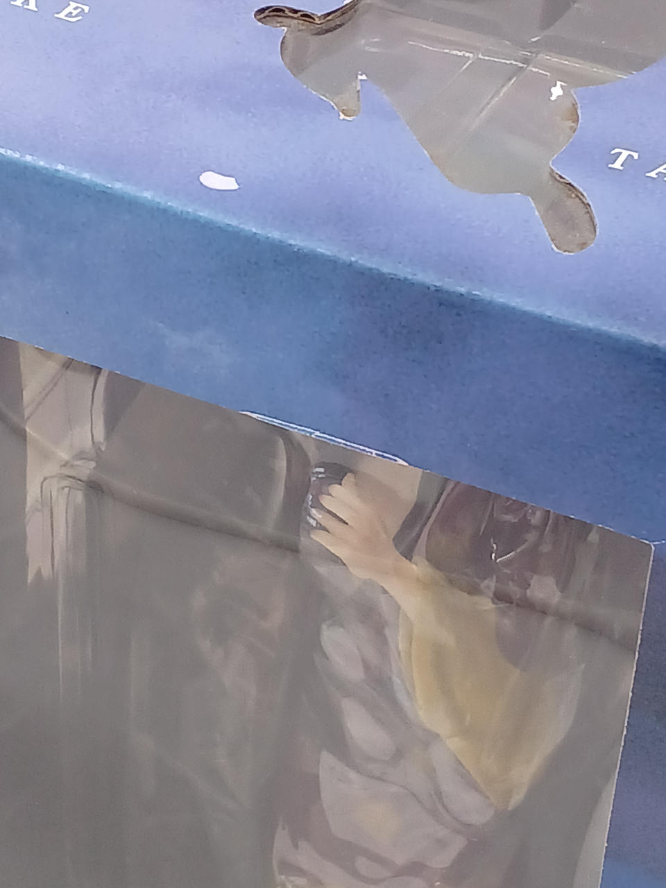 正面上スレ傷あり。