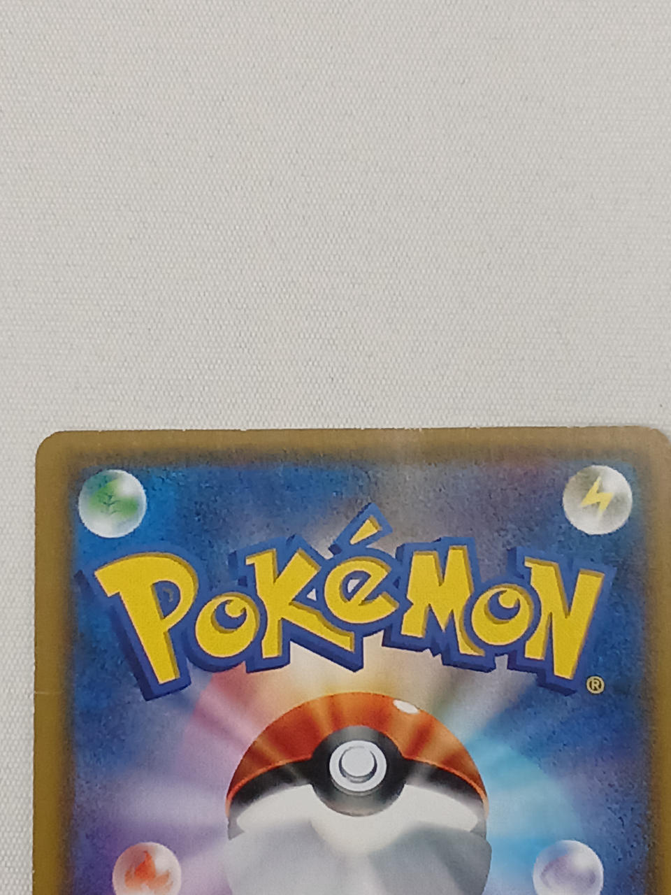 裏面は全体的に白かけがあります