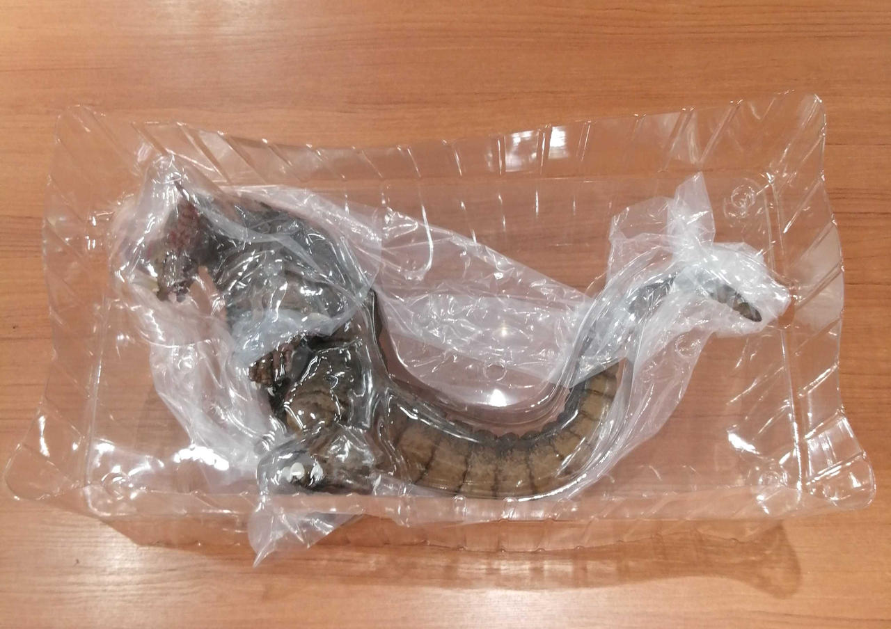 内ブリスターイタミあり