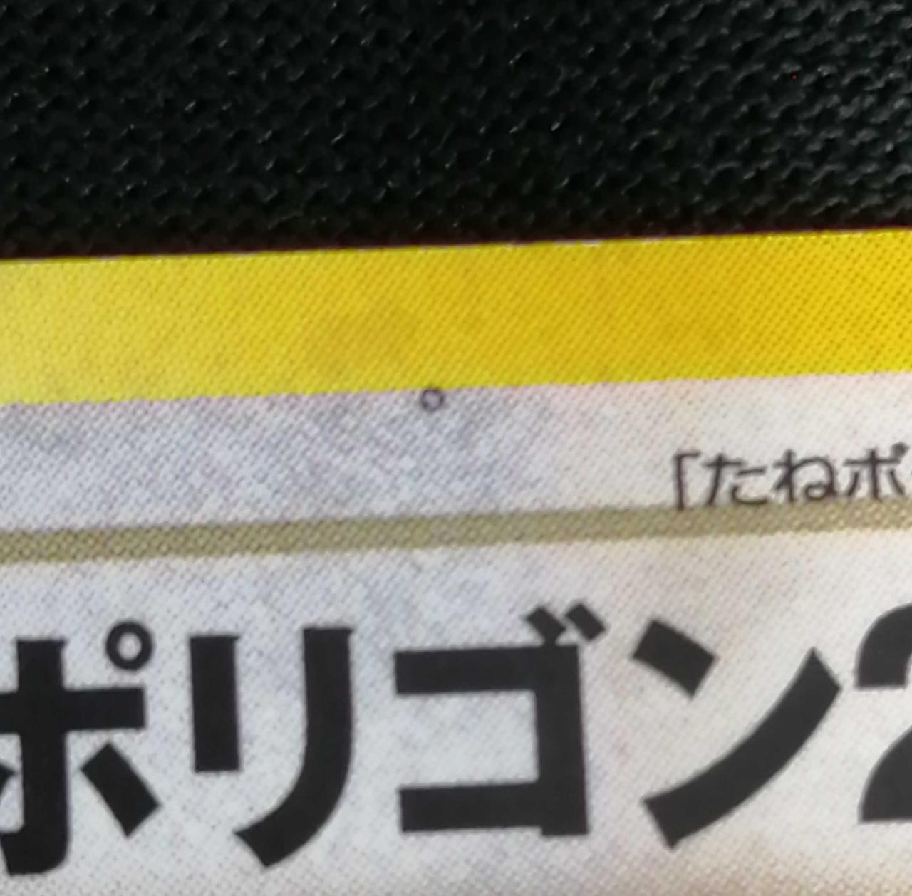 ヨゴレあり