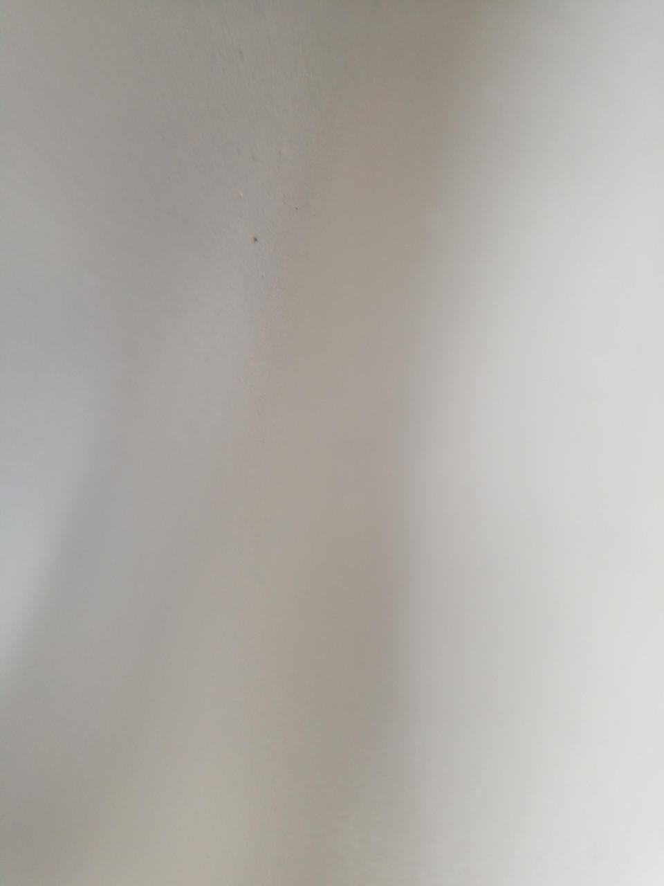 台座ヨゴレあり