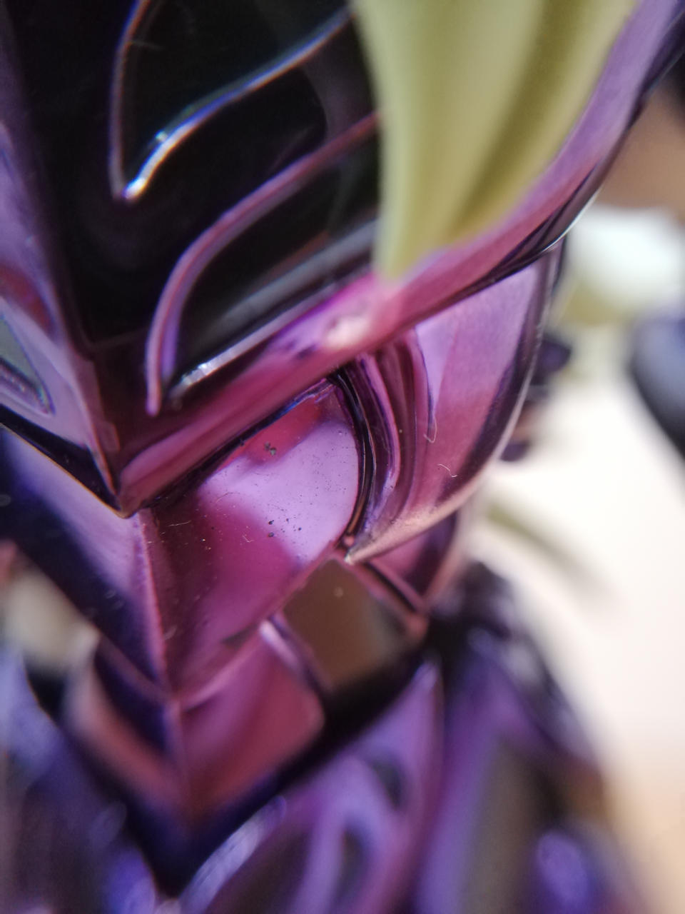 ヨゴレイタミあり